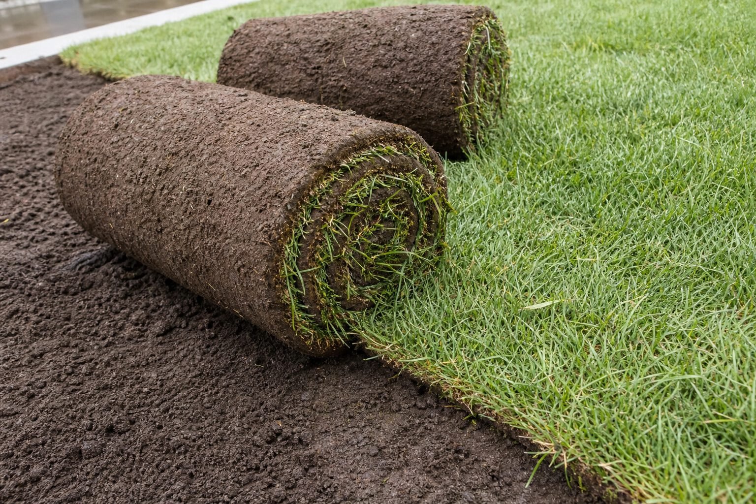 Fresh sod installation in Paradise Newfoundland